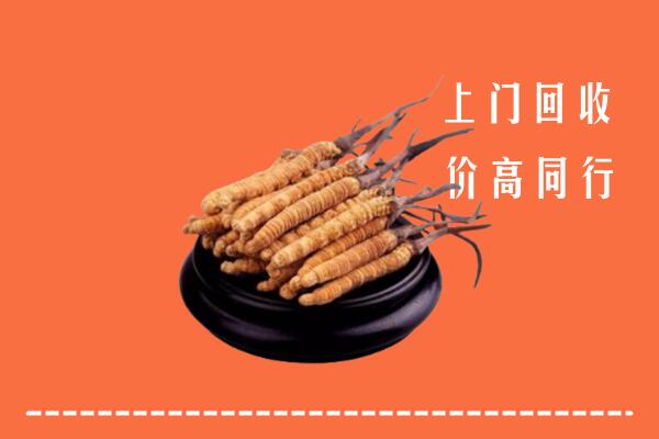 高价求购：宁国市回收散虫草
