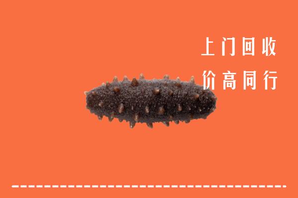高价求购：宁国市回收海参