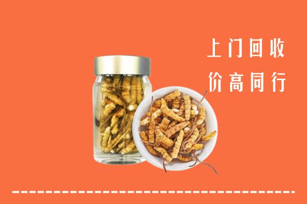 宁国市回收冬虫夏草