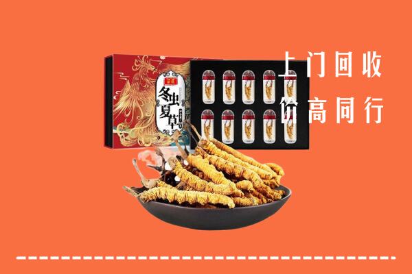 宁国市回收虫草